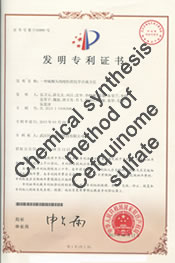 Chemical synthesis method of Cefquinome sulfate