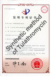 Synthetic method of Tulathromycin