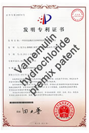 Valnemulin hydrochloride premix patent