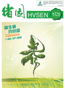 第31期