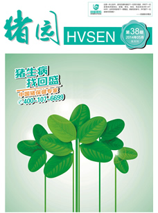 第38期