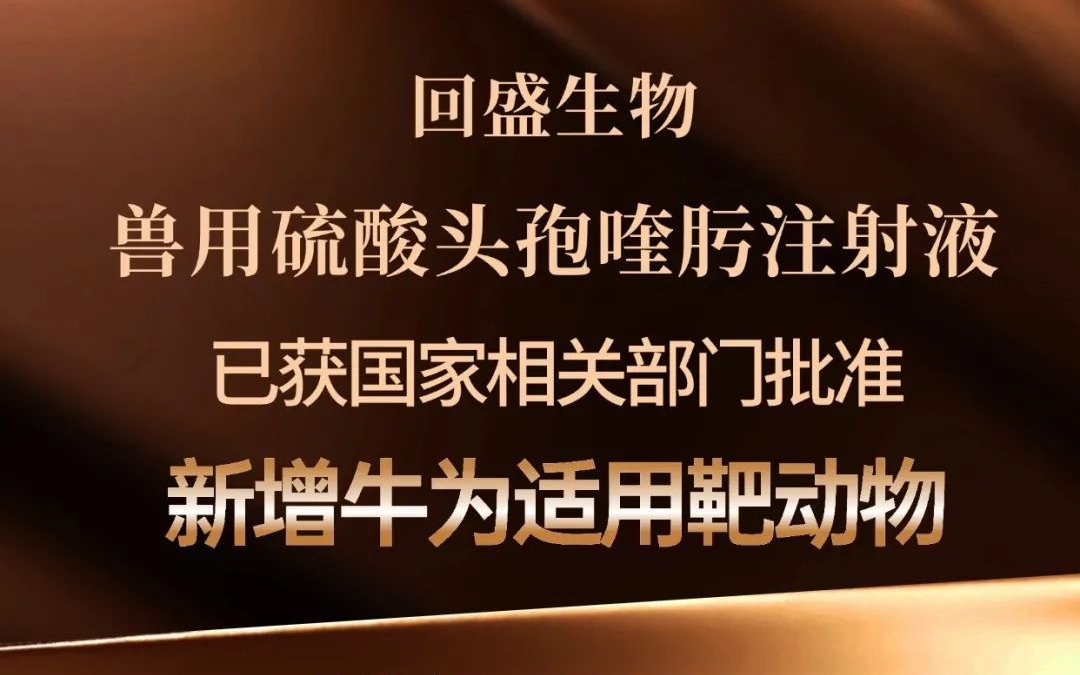 918博天堂「硫酸头孢喹肟注射液」 获批新增牛靶动物