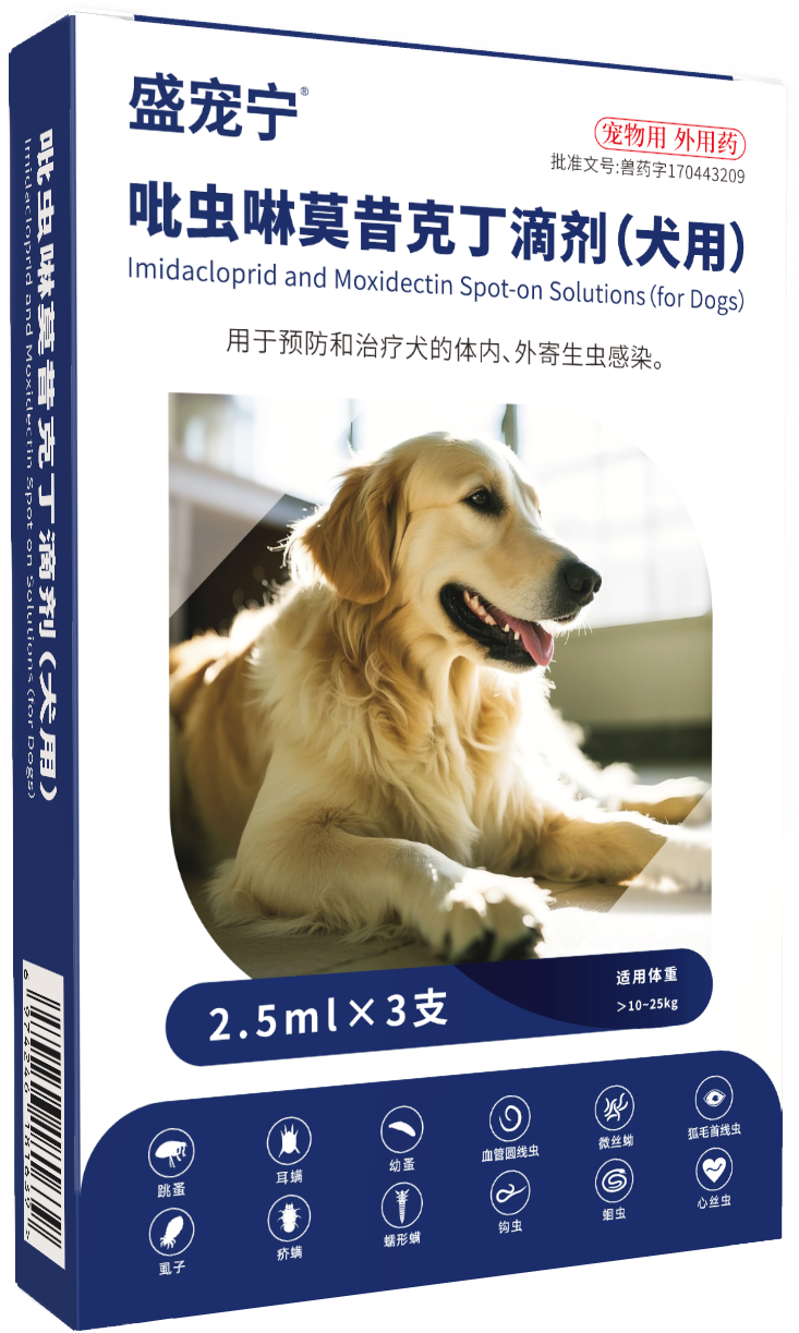 盛寵寧（2.5犬）