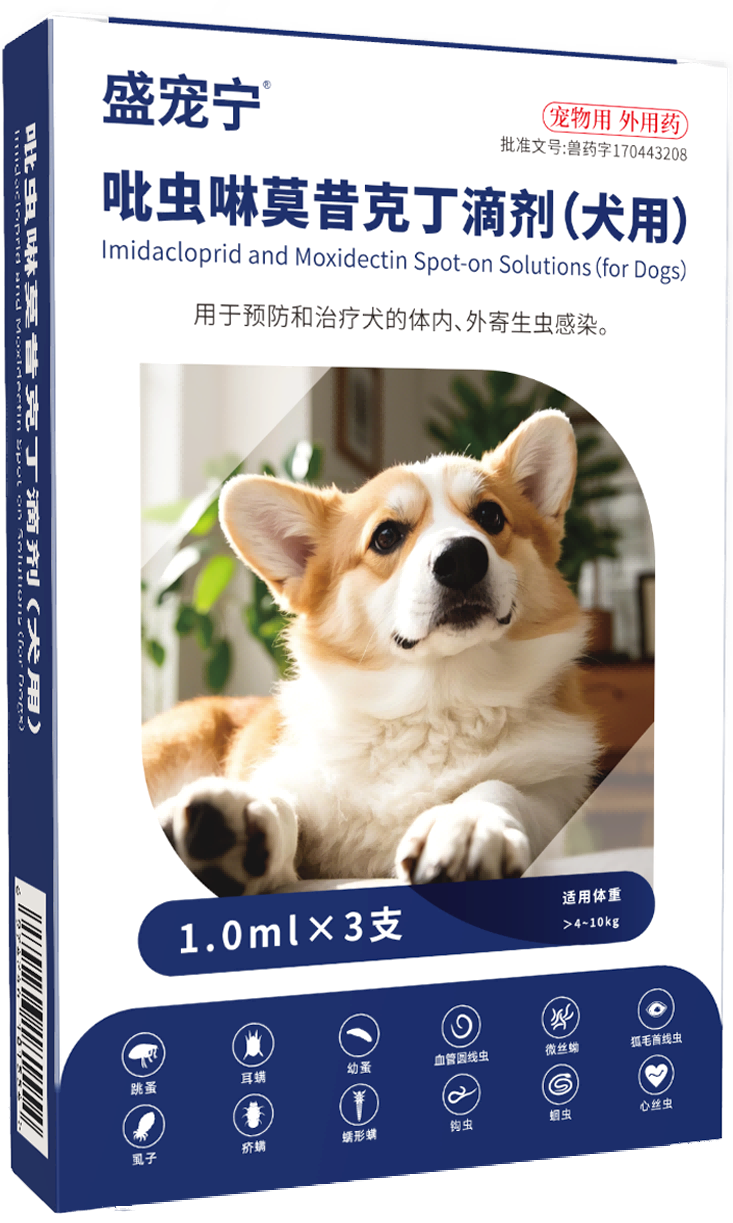 盛寵寧（1.0犬）
