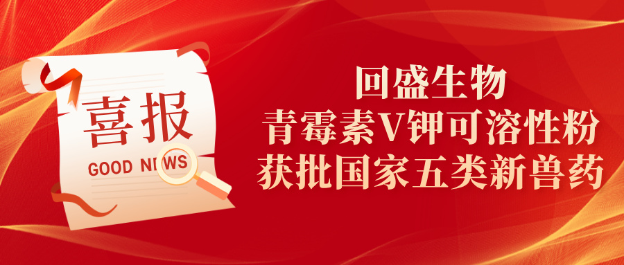 回盛生物自主研发青霉素V钾可溶性粉斩获国家五类新兽药证书
